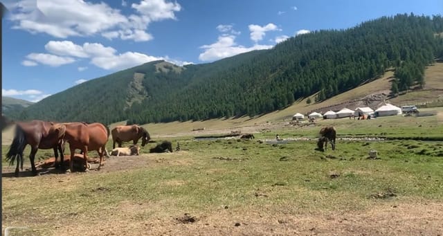 Yamaat base camp