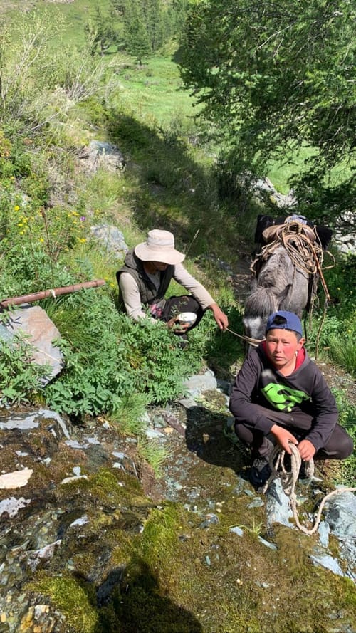 A host family foraging plants on a hillside with a pack horse